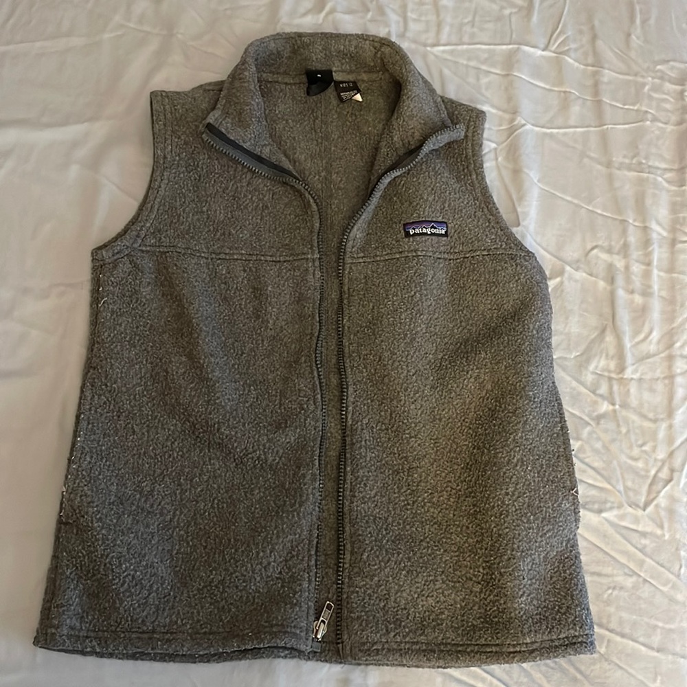 Patagonia vest.